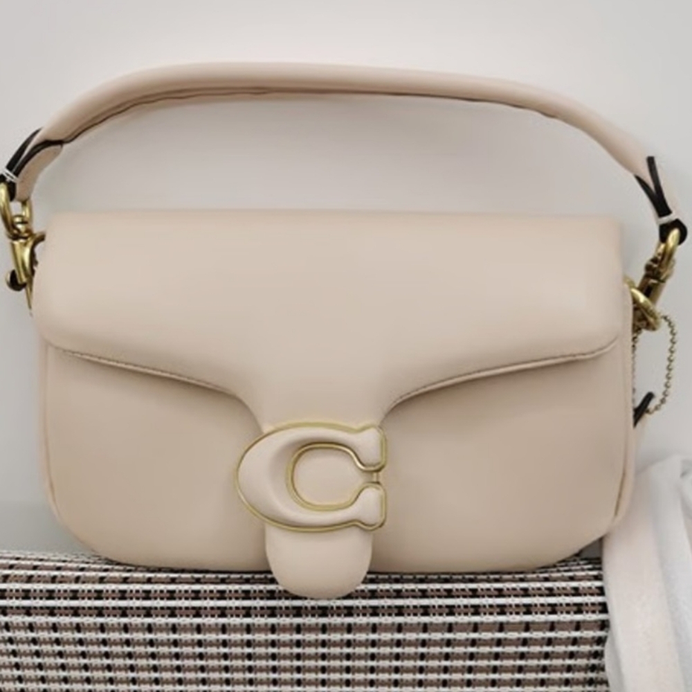 Coach pillow tabby 18